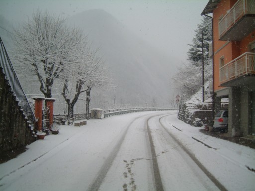  Image name: DSCF5061.JPG 
 width: 512 pixel 
 height: 384 pixel 
 Size: 44295 bytes 
 Click to enlarge 